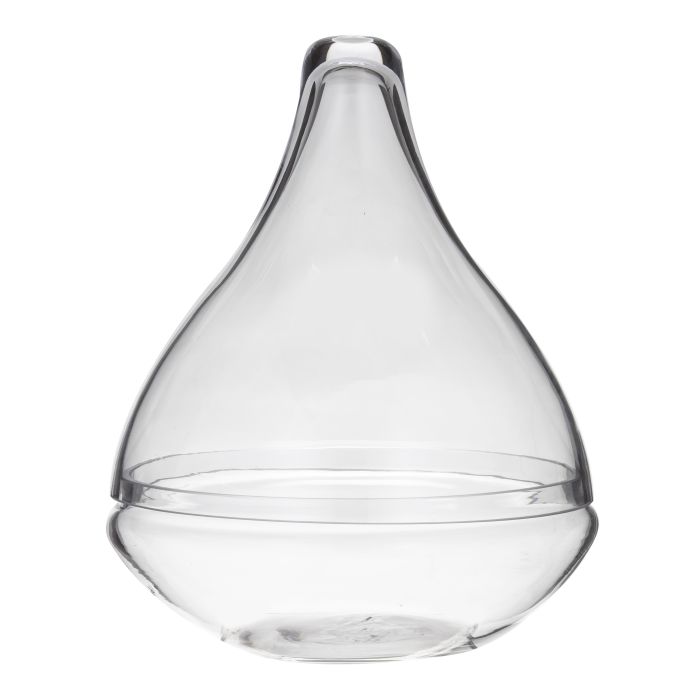 Rogue Seraphina Terrarium