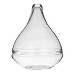 Rogue Seraphina Terrarium