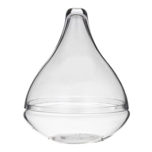 Rogue Seraphina Terrarium