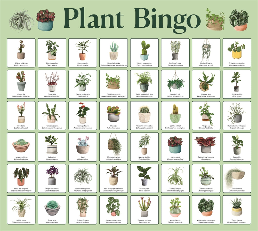 PLANT BINGO