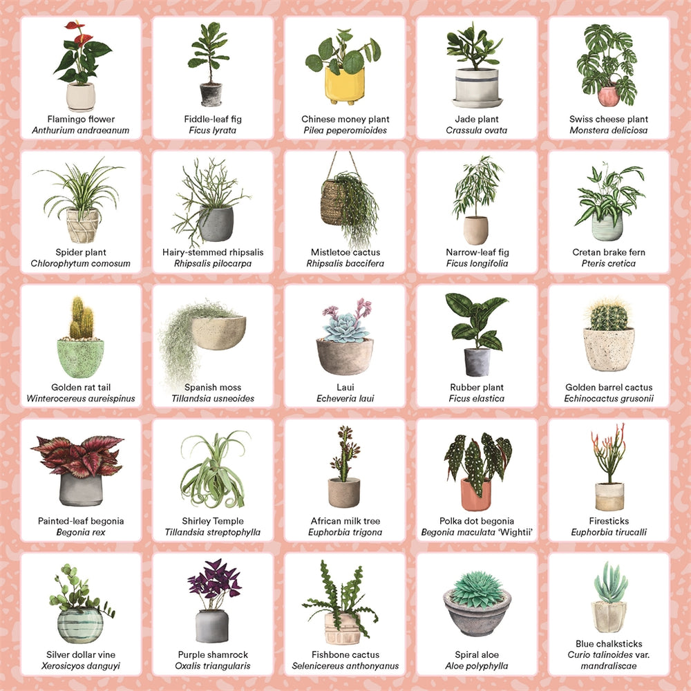 PLANT BINGO