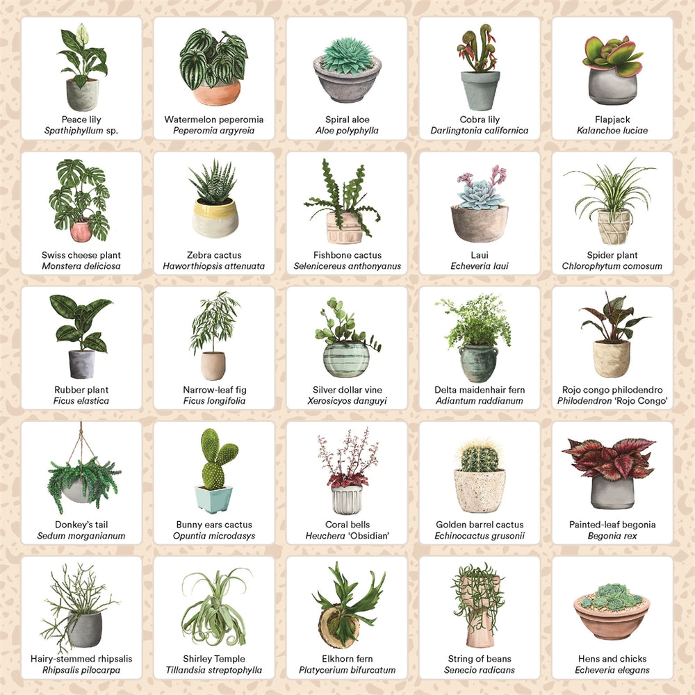 PLANT BINGO