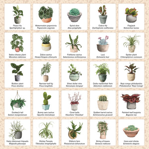 PLANT BINGO