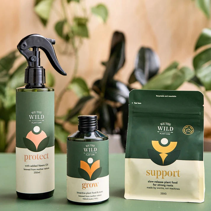 WE THE WILD - HOUSEPLANT CARE ESSENTIALS KIT