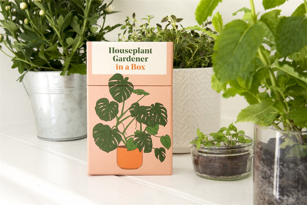 HOUSEPLANT GARDENER IN A BOX