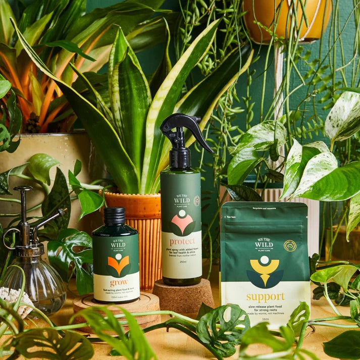 WE THE WILD - HOUSEPLANT CARE ESSENTIALS KIT