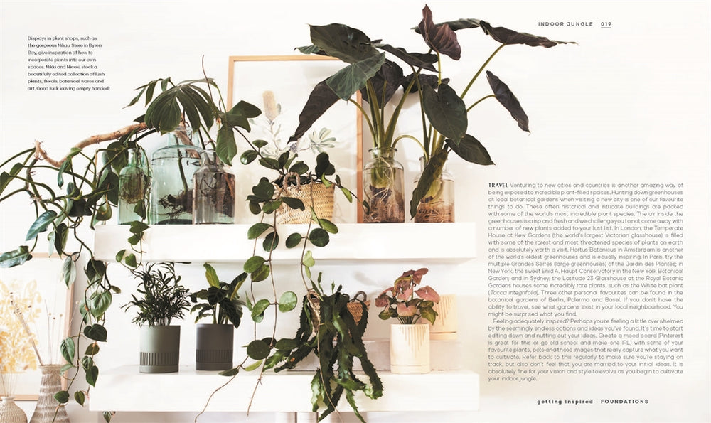 THE LEAF SUPPLY GUIDE TO CREATING YOUR INDOOR JUNGLE