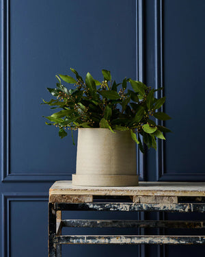 Robert Gordon - Garden to Table - Plant Pot