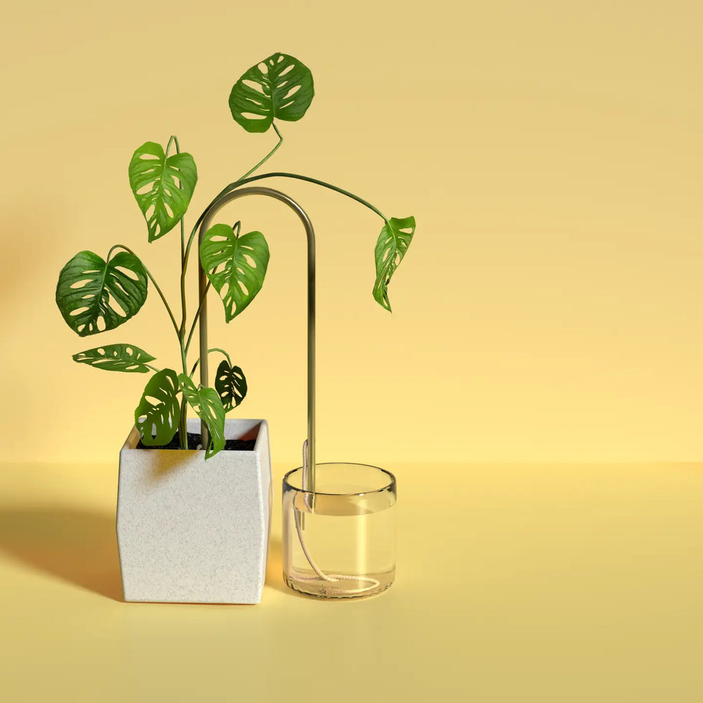WE THE WILD - Self-Watering Plant Climber