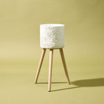 Rogue Milos Planter Stand