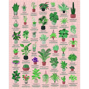 RIDLEYS HOUSE OF PLANTS 1000 PIECE JIGSAW PUZZLE