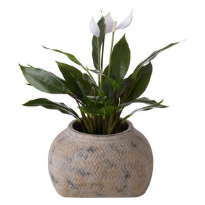 Rogue Distressed Cement Weave Vessel