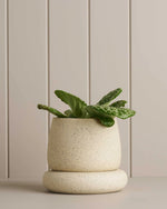 ROBERT GORDON - CLOUD  PLANTER 17.5cm x 15cm